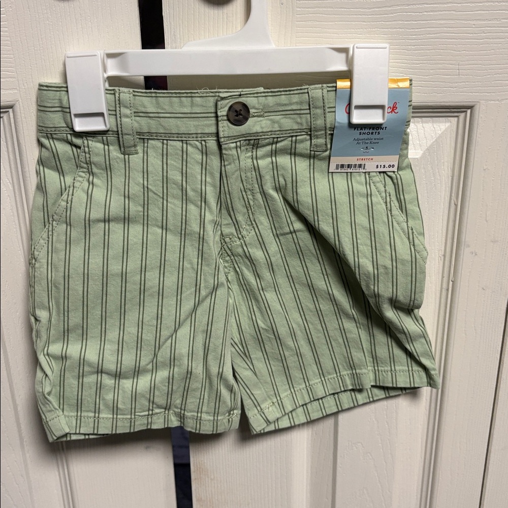 Cat and Jack  Light Green Shorts with Dark Olive Stripes